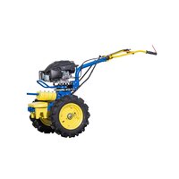 AGZAT AGRO PROFI DIF Yamaha MA190 0032901