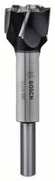 BOSCH Vyrezávac kotúcikov 25,0, 140 mm