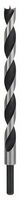 BOSCH Strojový vrták do dreva so špickou M 16 x 250 mm, d 10 mm