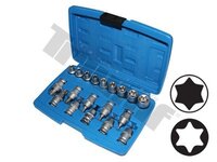 TRIUMF 730 - Sada hlavíc E-profil a bitov Torx v 1/2" hlavici, 19 - dielna