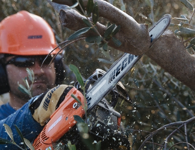 ECHO Motorová pila s horní rukojetí CS-2511TES C