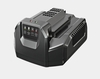 Ego Power Nabíjačka štandardná  210 W - CH2100E