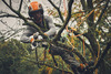 STIHL GTA 40 Akumulátorová reťazová píla GA040116905