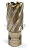 Karnasch® Jadrový vrták Ø 24 mm Karnasch GOLD-LINE 30