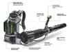 Ego Power Zádový fukár LB6000E