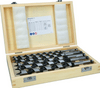 BOSCH Sada špirálových vrtákov PRO Wood, L 235, 6 ks - 2607019322