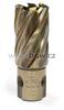 Karnasch® Jadrový vrták Ø 23 mm Karnasch GOLD-LINE 30