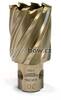 Karnasch® Jadrový vrták Ø 31 mm Karnasch GOLD-LINE 30