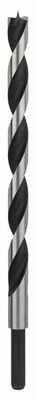 BOSCH Strojový vrták do dreva se špickou M 14 x 250 mm, d 10 mm