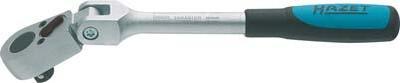 HAZET Račňa 3/8" 30 zub 218mm kĺbová 8816GK Hazet