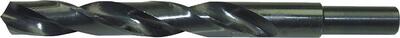 FORTIS Vrták kov 14mm HSS DIN338 typ N stopka 13mm Fortis