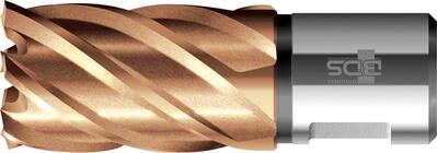 BDS MASCHINEN Vrták jadrový 18 / 30mm HSS Vario PLUS Weldon BDS