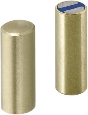 FORMAT Chápač magnetický valčekový 16x20mm SmCo Format