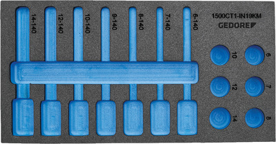 GEDORE EI-1500 CT1-IN 19LKM Modul Check-Tool prázdny