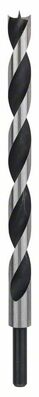 BOSCH Strojový vrták do dreva so špickou M 16 x 250 mm, d 10 mm