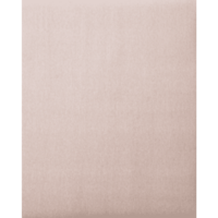 PFERD TOOLS Nástroje s povrchovou úpravou BP ECO AC 230X280 A 800