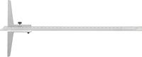 FORTIS Hĺbkomer posuvný 300/0,02mm DIN862 Fortis