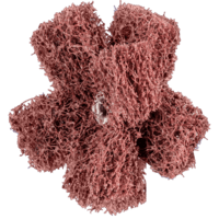 PFERD TOOLS Fleece vrstvené (netkané) náradie PNST 50-2 A 80