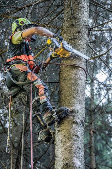 DeWALT Pila řetězová FLEXVOLT 54V 35cm bez AKU DCMCST635N