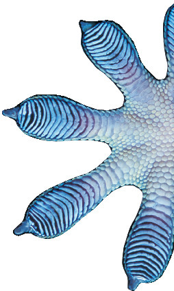 GEDORE 1500 H 13 Mat anti-slip