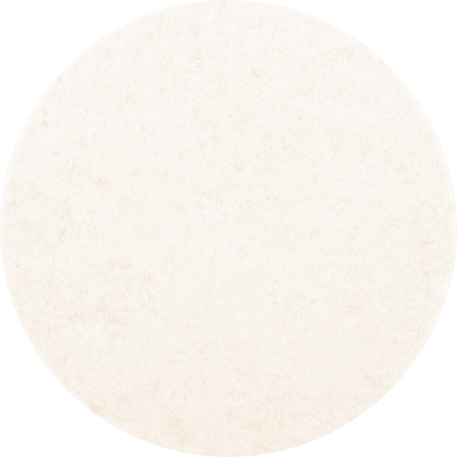 PFERD TOOLS COMBIDISC Brúsky CD FR 75