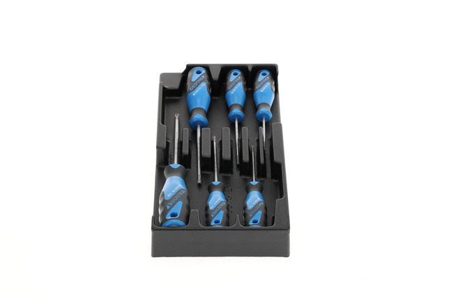 GEDORE 1500 ES-2163 Sada skrutkovačov TX v module 1/3 ES