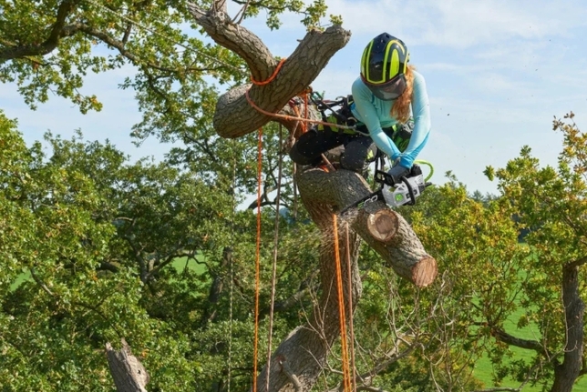 Ego Power Píla jednoručná s hornou rukoväťou PRO X 30cm - CSX3000 - set s akumuátorom