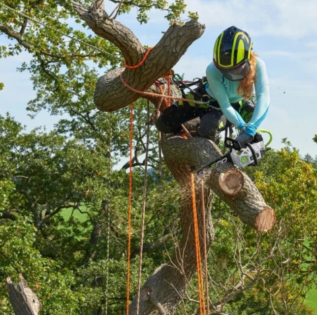 Ego Power Nosič opaskový PRO X pre arboristov - ABH3000