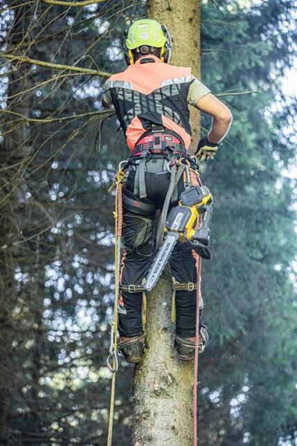 DeWALT Pila řetězová FLEXVOLT 54V 35cm bez AKU DCMCST635N