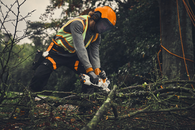 STIHL GTA 40 Akumulátorová reťazová píla set s 2 × AS 2 a AL 5-2 GA040116918