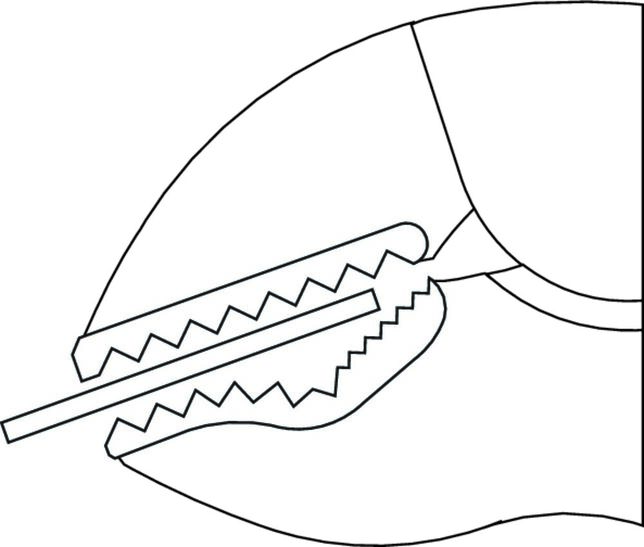 GEDORE 137 11 Zaisťovacie kliešte 11"