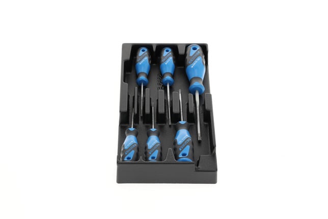 GEDORE 1500 ES-2163 Sada skrutkovačov TX v module 1/3 ES