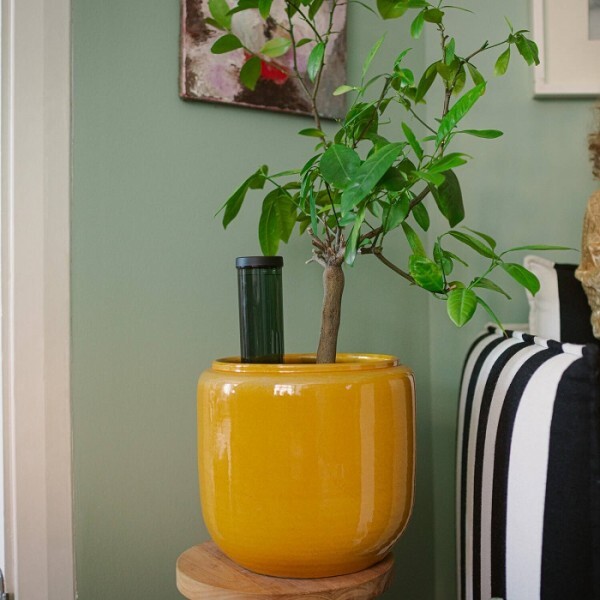 FISKARS Zavlažovací hrot, 3,5 dl | 1075380