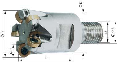 FORMAT Fréza kopírovacia na zaskrutkovanie s IK d24mm / M12 Z2 pre Rd Format