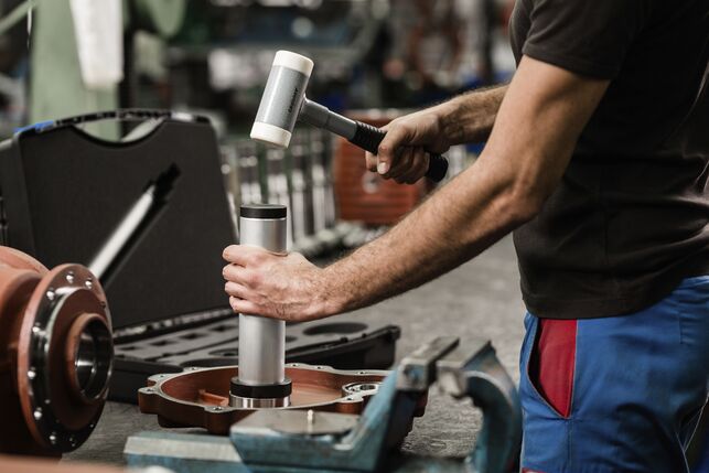 GEDORE 248 ST-50 Klincovací kladivo bezodrzutové Ø 50 mm